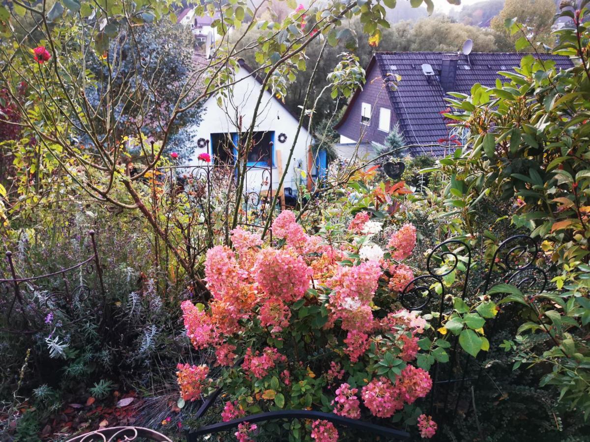Ferienhaus Mit Riesen Garten, Drei Terrassen, Toller Aussicht Am Waldrand, Auch Als Monteur-Wohnung Hemer Exterior photo