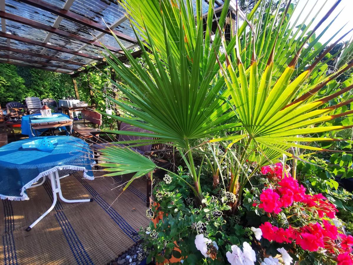 Ferienhaus Mit Riesen Garten, Drei Terrassen, Toller Aussicht Am Waldrand, Auch Als Monteur-Wohnung Hemer Exterior photo